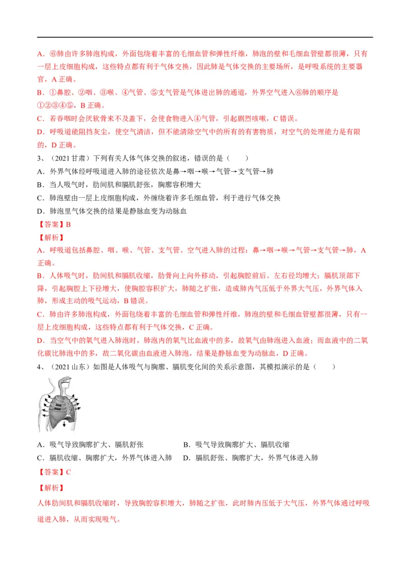 专题11人体的呼吸（解析版）_6生物中考复习_2023年中考复习资料_一轮复习_2023年中考生物一轮复习讲练测_专题11人体的呼吸（专题精练）-2023年中考生物一轮复习讲练测