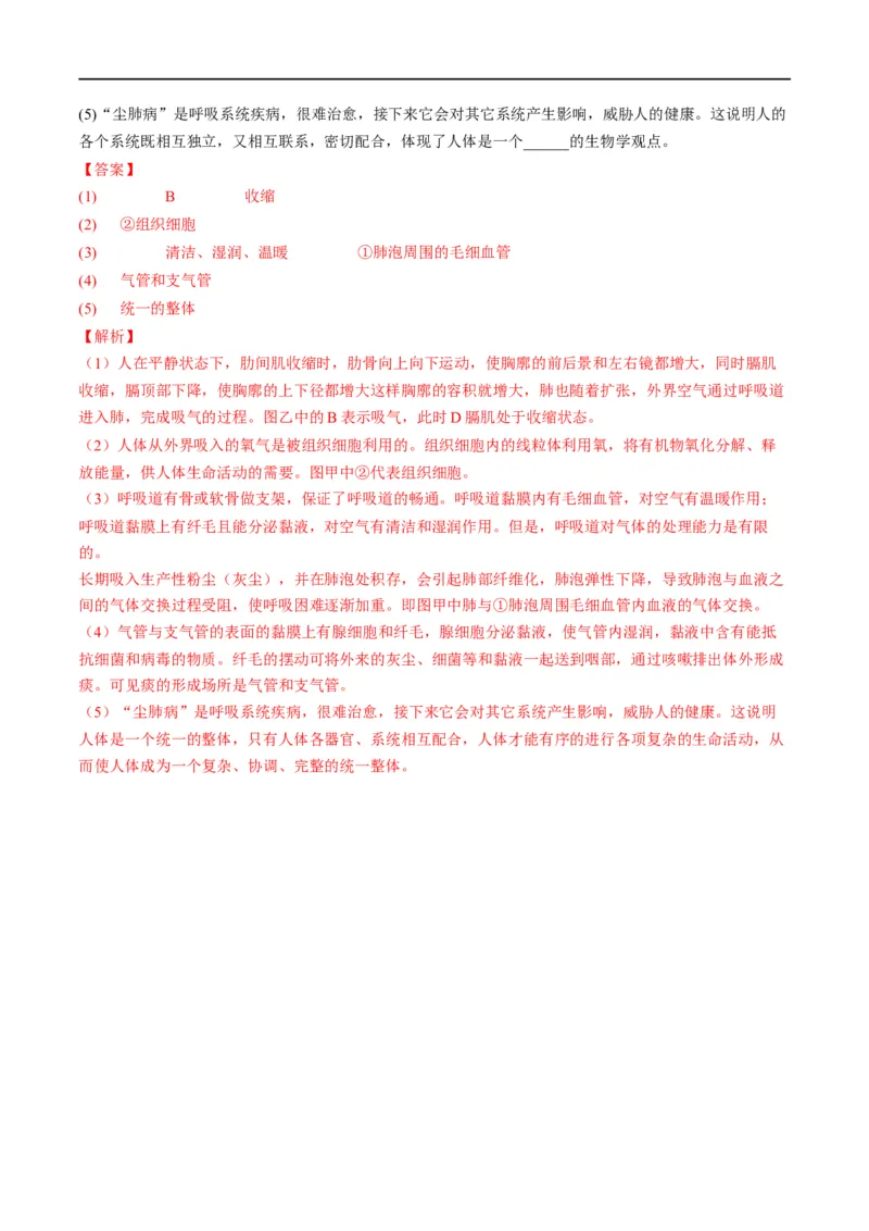 专题11人体的呼吸（解析版）_6生物中考复习_2023年中考复习资料_一轮复习_2023年中考生物一轮复习讲练测_专题11人体的呼吸（专题精练）-2023年中考生物一轮复习讲练测