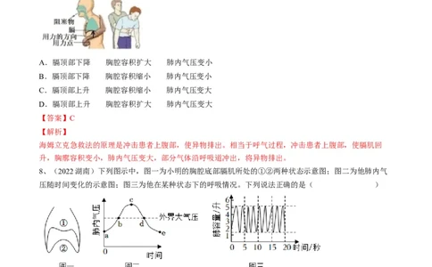 专题11人体的呼吸（解析版）_6生物中考复习_2023年中考复习资料_一轮复习_2023年中考生物一轮复习讲练测_专题11人体的呼吸（专题精练）-2023年中考生物一轮复习讲练测