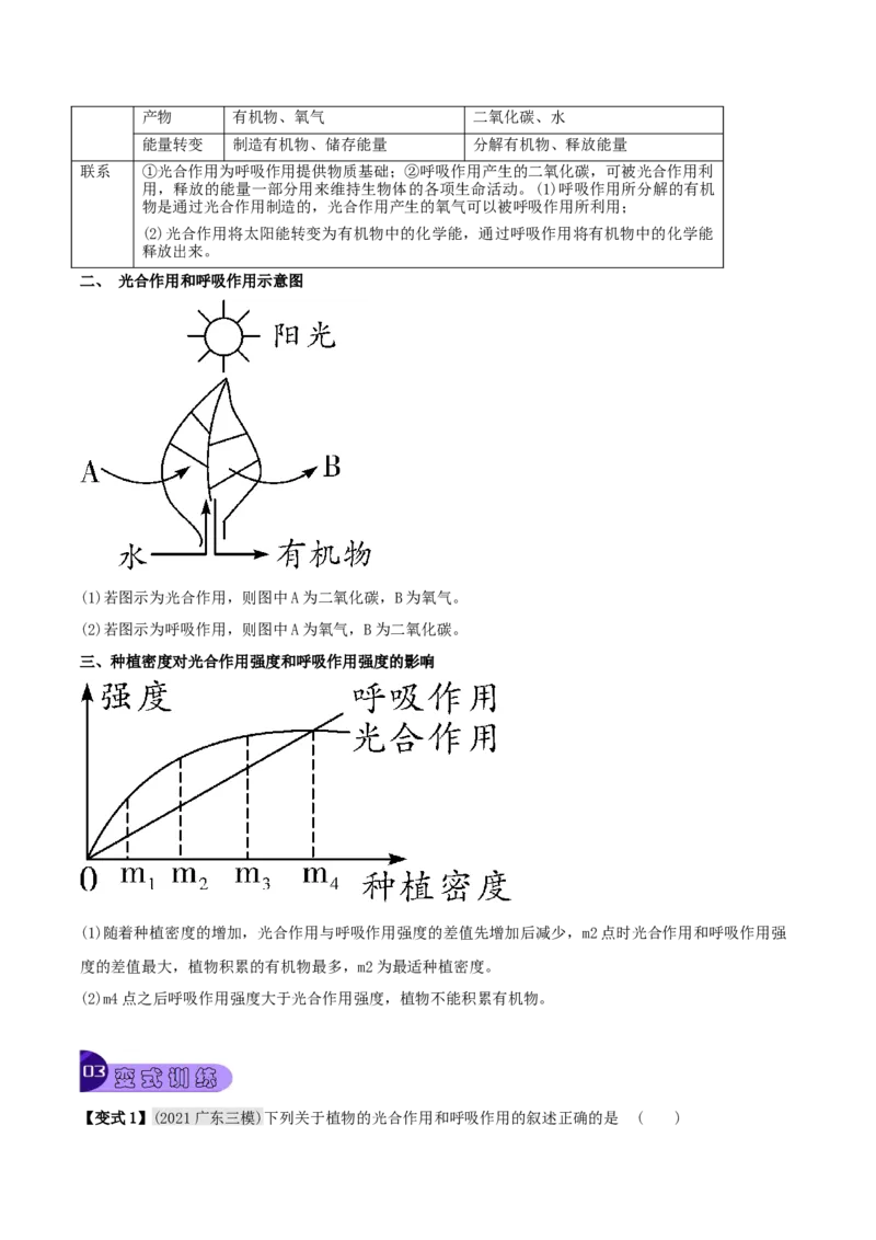 专题10绿色植物与生物圈中的碳&mdash;氧平衡（原卷版）_6生物中考复习_2023年中考复习资料_专项复习_2023年中考生物总复习真题探究与变式训练（全国通用）