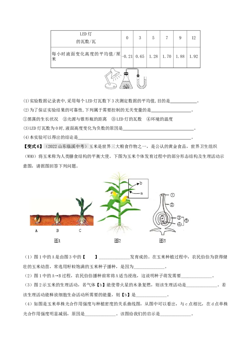 专题10绿色植物与生物圈中的碳&mdash;氧平衡（原卷版）_6生物中考复习_2023年中考复习资料_专项复习_2023年中考生物总复习真题探究与变式训练（全国通用）