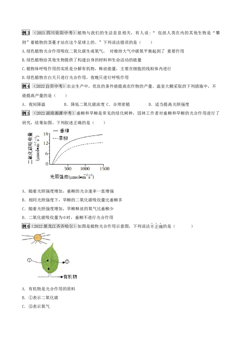 专题10绿色植物与生物圈中的碳&mdash;氧平衡（原卷版）_6生物中考复习_2023年中考复习资料_专项复习_2023年中考生物总复习真题探究与变式训练（全国通用）
