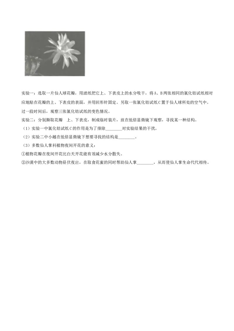 专题10绿色植物与生物圈中的碳&mdash;氧平衡（原卷版）_6生物中考复习_2023年中考复习资料_专项复习_2023年中考生物总复习真题探究与变式训练（全国通用）