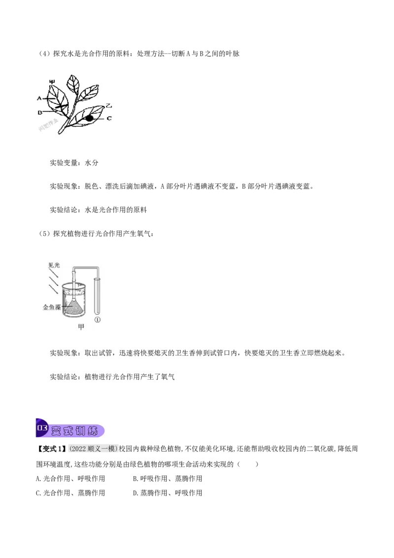 专题10绿色植物与生物圈中的碳&mdash;氧平衡（原卷版）_6生物中考复习_2023年中考复习资料_专项复习_2023年中考生物总复习真题探究与变式训练（全国通用）