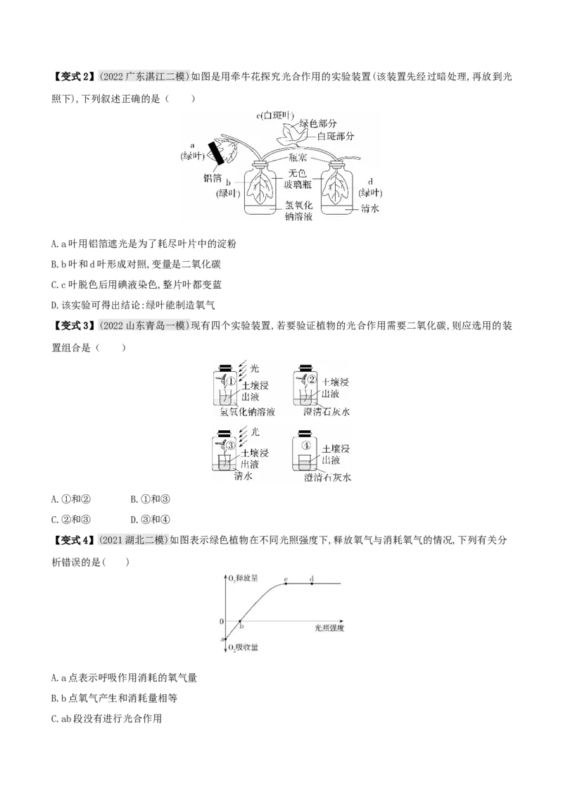 专题10绿色植物与生物圈中的碳&mdash;氧平衡（原卷版）_6生物中考复习_2023年中考复习资料_专项复习_2023年中考生物总复习真题探究与变式训练（全国通用）