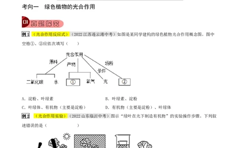 专题10绿色植物与生物圈中的碳&mdash;氧平衡（原卷版）_6生物中考复习_2023年中考复习资料_专项复习_2023年中考生物总复习真题探究与变式训练（全国通用）
