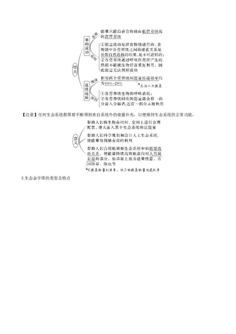 考向23生态系统的结构与能量流动-备战2023年高考生物一轮复习考点微专题（全国通用）（原卷版）(1)_通用版（老高考）复习资料_2023年复习资料_一轮复习