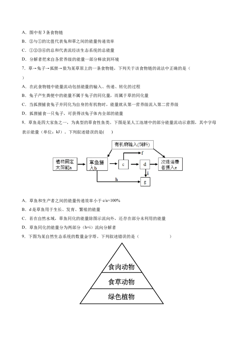 考向23生态系统的结构与能量流动-备战2023年高考生物一轮复习考点微专题（全国通用）（原卷版）(1)_通用版（老高考）复习资料_2023年复习资料_一轮复习