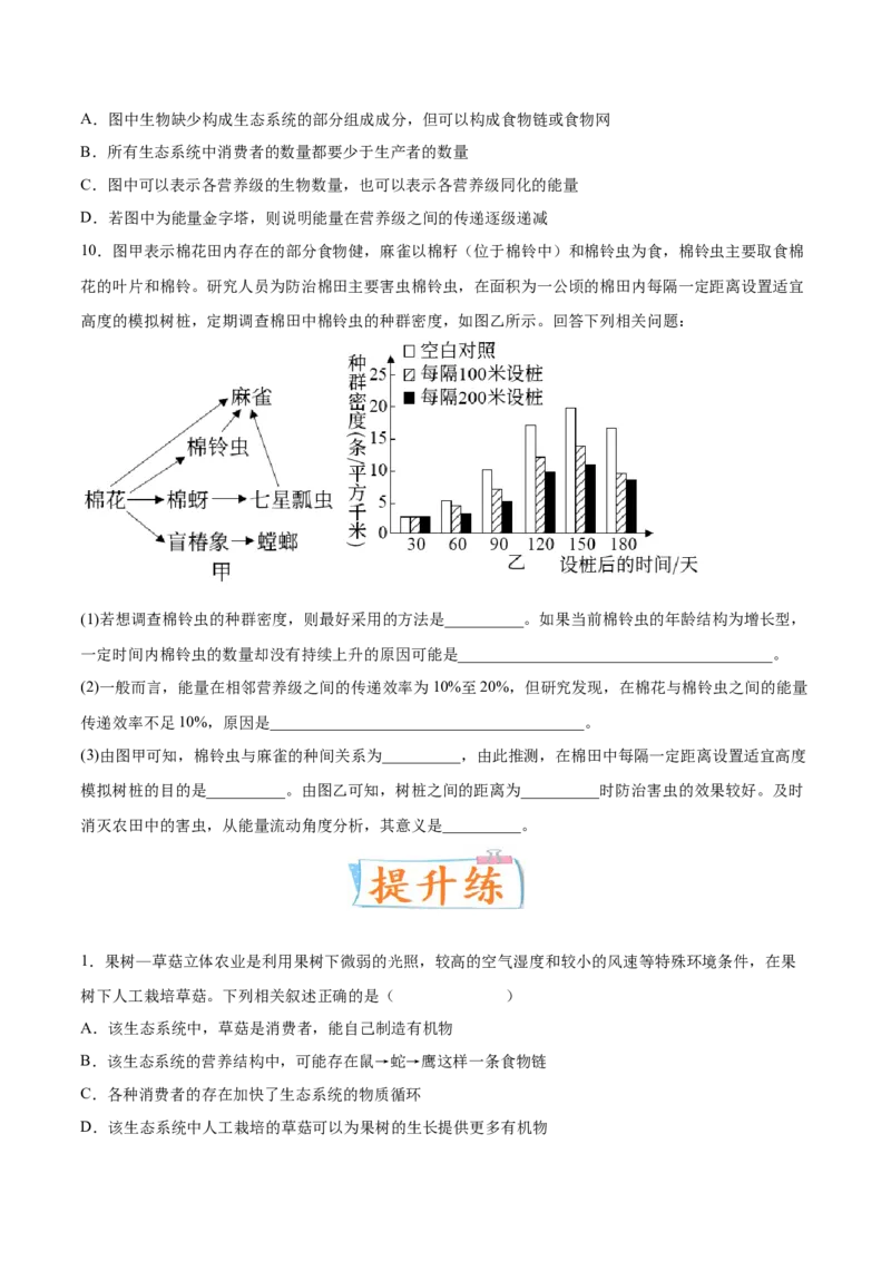 考向23生态系统的结构与能量流动-备战2023年高考生物一轮复习考点微专题（全国通用）（原卷版）(1)_通用版（老高考）复习资料_2023年复习资料_一轮复习