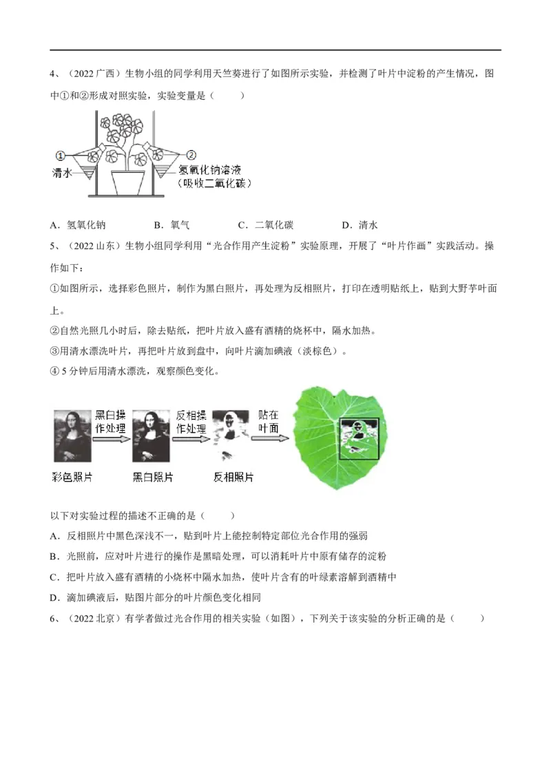 专题07绿色植物的光合作用（原卷版）_6生物中考复习_2023年中考复习资料_一轮复习_2023年中考生物一轮复习讲练测_专题07绿色植物的光合作用（专题精练）-2023年中考生物一轮复习讲练测