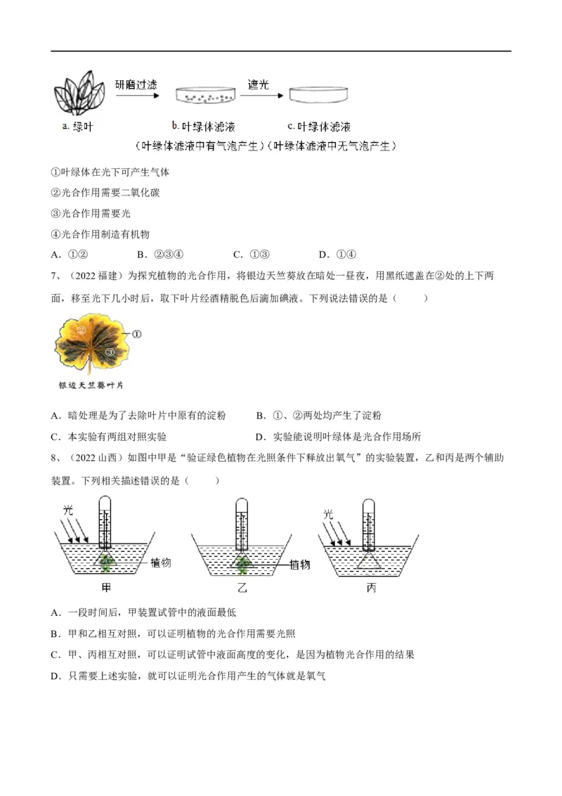 专题07绿色植物的光合作用（原卷版）_6生物中考复习_2023年中考复习资料_一轮复习_2023年中考生物一轮复习讲练测_专题07绿色植物的光合作用（专题精练）-2023年中考生物一轮复习讲练测