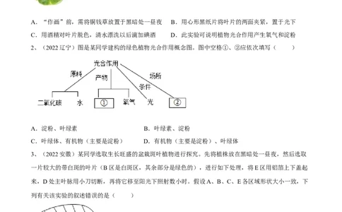专题07绿色植物的光合作用（原卷版）_6生物中考复习_2023年中考复习资料_一轮复习_2023年中考生物一轮复习讲练测_专题07绿色植物的光合作用（专题精练）-2023年中考生物一轮复习讲练测