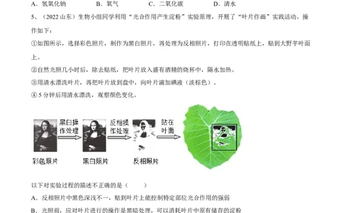 专题07绿色植物的光合作用（原卷版）_6生物中考复习_2023年中考复习资料_一轮复习_2023年中考生物一轮复习讲练测_专题07绿色植物的光合作用（专题精练）-2023年中考生物一轮复习讲练测