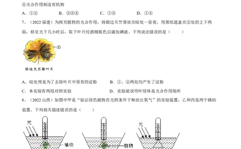专题07绿色植物的光合作用（原卷版）_6生物中考复习_2023年中考复习资料_一轮复习_2023年中考生物一轮复习讲练测_专题07绿色植物的光合作用（专题精练）-2023年中考生物一轮复习讲练测