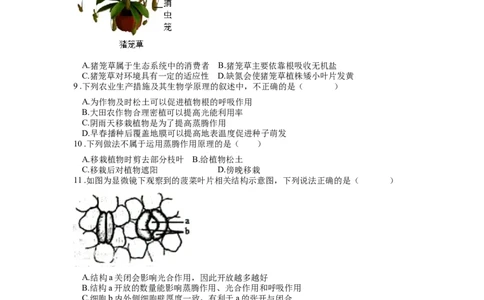 专题08绿色植物的蒸腾作用（原卷版）_6生物中考复习_2024年中考复习资料_一轮复习资料_完精准复习课件精讲ppt+习题精练备战2024年中考生物一轮复习全考点通关_配套练习