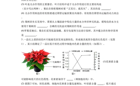 专题08绿色植物的蒸腾作用（原卷版）_6生物中考复习_2024年中考复习资料_一轮复习资料_完精准复习课件精讲ppt+习题精练备战2024年中考生物一轮复习全考点通关_配套练习