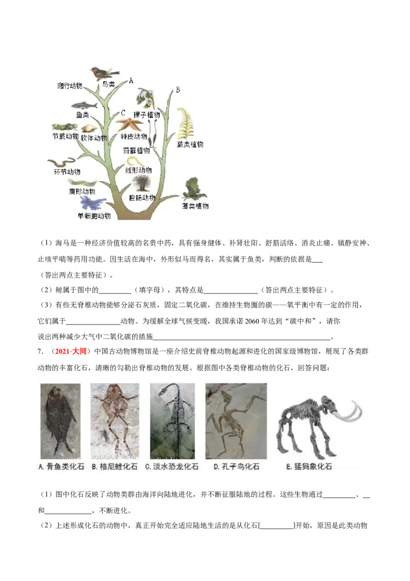 专题11&nbsp;生物的分类、进化和多样性保护（原卷版）_6生物中考复习_2024年中考复习资料_专项复习资料_完三年（2021-2023）中考生物真题分项汇编（全国通用）