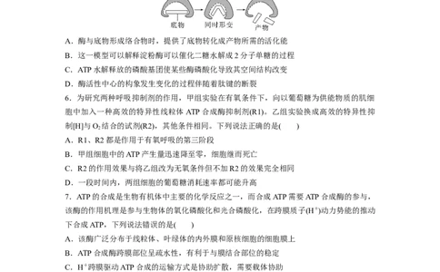 考前特训　专项二(二)细胞代谢_通用版（老高考）复习资料_2023年复习资料_二轮复习_2023年高考生物二轮复习讲义+课件（全国版）_2023年高考生物二轮复习讲义（全国版）_学生版_考前特训