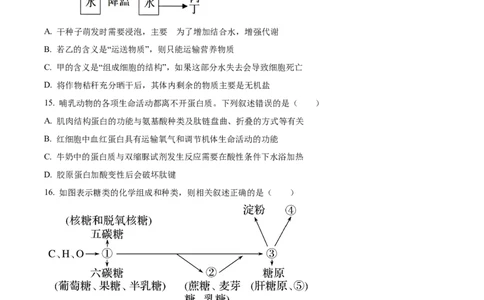 精品解析：河北省保定市部分学校2025-2026学年高一上学期9月月考生物试题（原卷版）_2025年10月高一试卷_251008河北省保定市部分学校2025-2026学年高一上学期9月月考（全）