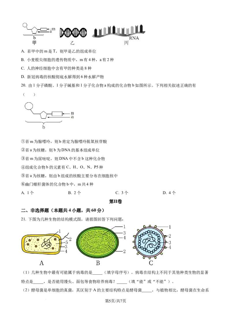 精品解析：福建省厦门英才学校2025-2026学年高一上学期第一次考试生物试题（原卷版）_2025年10月高一试卷_251011福建省厦门英才学校2025-2026学年高一上学期第一次月考