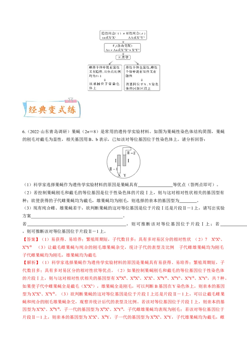 考向11伴性遗传和人类遗传病-备战2023年高考生物一轮复习考点微专题（全国通用）（解析版）_通用版（老高考）复习资料_2023年复习资料_一轮复习