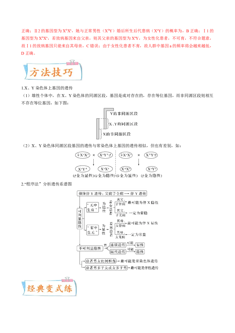 考向11伴性遗传和人类遗传病-备战2023年高考生物一轮复习考点微专题（全国通用）（解析版）_通用版（老高考）复习资料_2023年复习资料_一轮复习