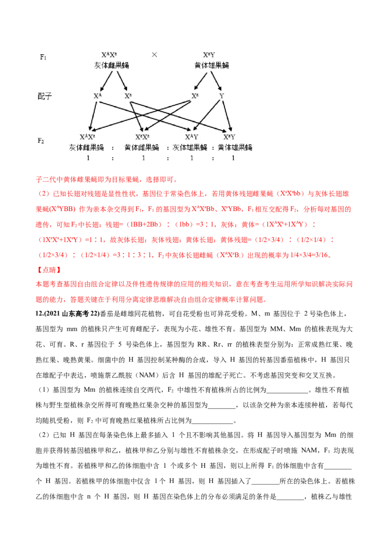 考向11伴性遗传和人类遗传病-备战2023年高考生物一轮复习考点微专题（全国通用）（解析版）_通用版（老高考）复习资料_2023年复习资料_一轮复习