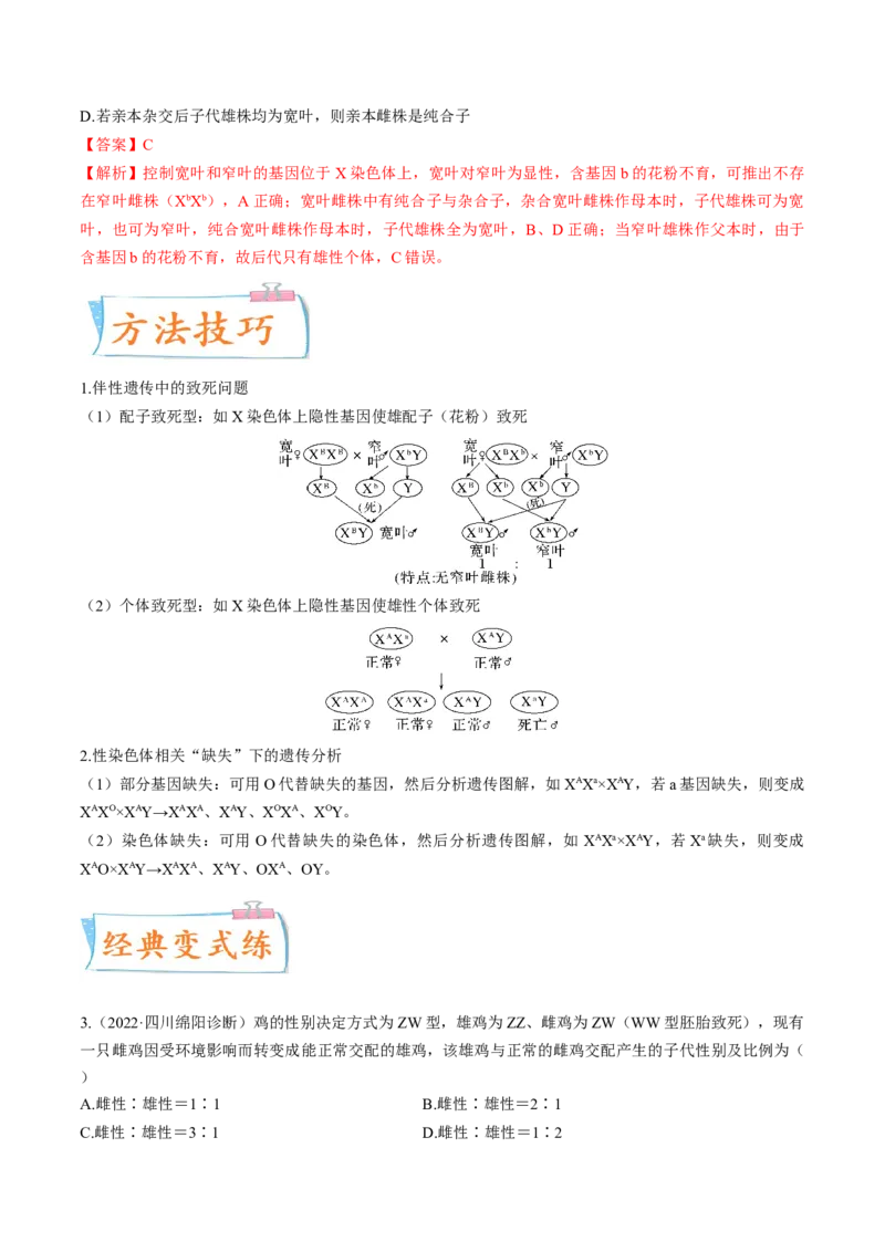 考向11伴性遗传和人类遗传病-备战2023年高考生物一轮复习考点微专题（全国通用）（解析版）_通用版（老高考）复习资料_2023年复习资料_一轮复习