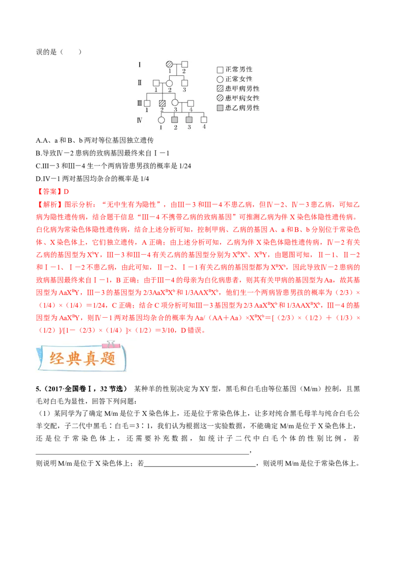 考向11伴性遗传和人类遗传病-备战2023年高考生物一轮复习考点微专题（全国通用）（解析版）_通用版（老高考）复习资料_2023年复习资料_一轮复习
