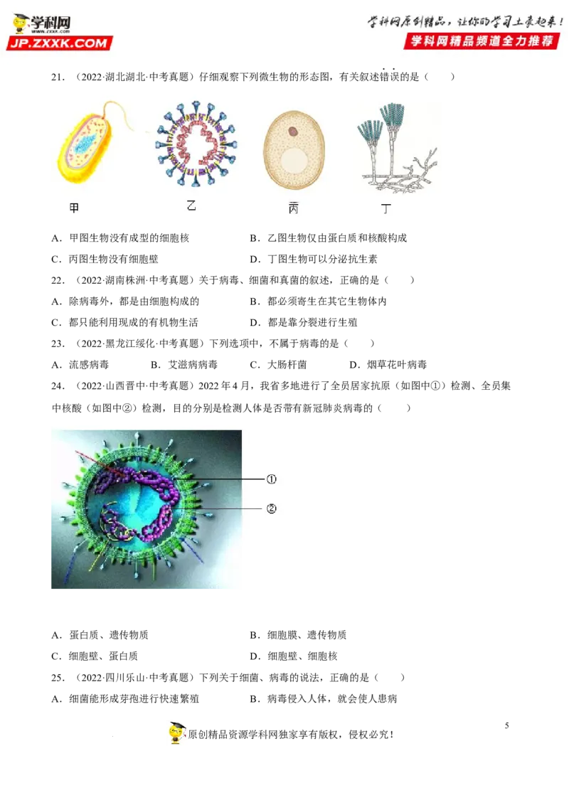 专题14生物圈中的微生物（习题帮）（原卷版）_6生物中考复习_2023年中考复习资料_一轮复习_备战2023年中考生物一轮复习考点帮（全国通用）288506454