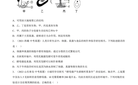 专题14生物圈中的微生物（习题帮）（原卷版）_6生物中考复习_2023年中考复习资料_一轮复习_备战2023年中考生物一轮复习考点帮（全国通用）288506454