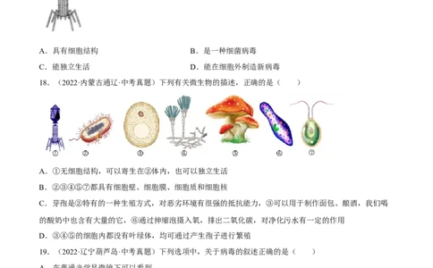 专题14生物圈中的微生物（习题帮）（原卷版）_6生物中考复习_2023年中考复习资料_一轮复习_备战2023年中考生物一轮复习考点帮（全国通用）288506454