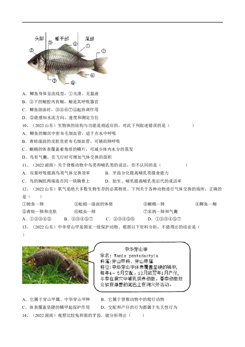 专题15动物的主要类群（原卷版）_6生物中考复习_2023年中考复习资料_一轮复习_2023年中考生物一轮复习讲练测_专题15动物的主要类群（专题精练）-2023年中考生物一轮复习讲练测