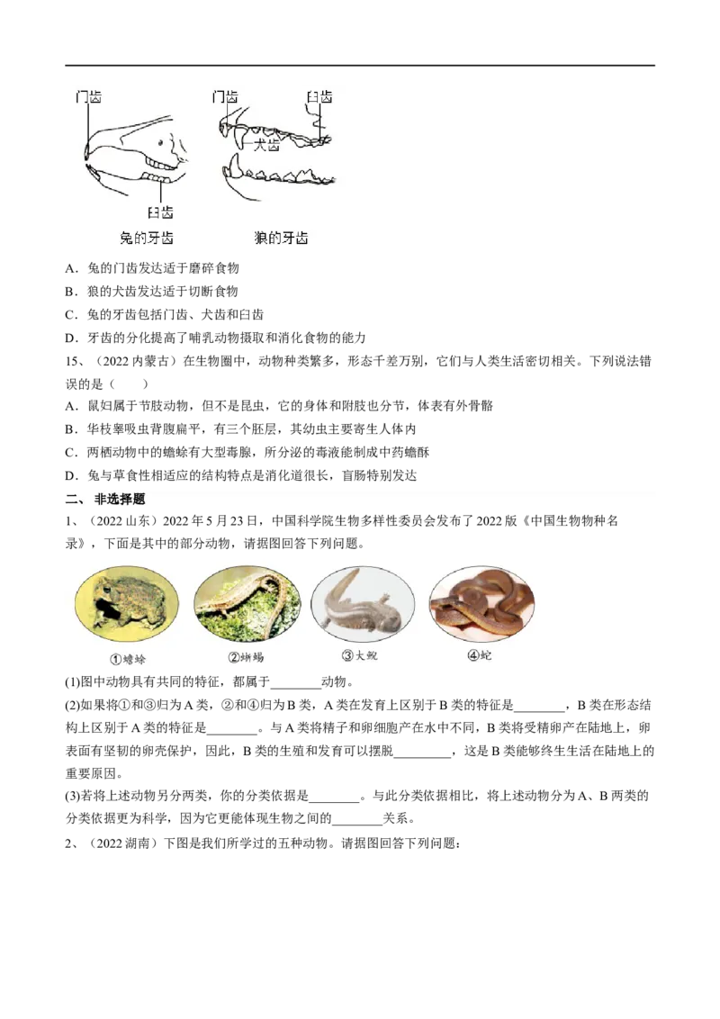 专题15动物的主要类群（原卷版）_6生物中考复习_2023年中考复习资料_一轮复习_2023年中考生物一轮复习讲练测_专题15动物的主要类群（专题精练）-2023年中考生物一轮复习讲练测