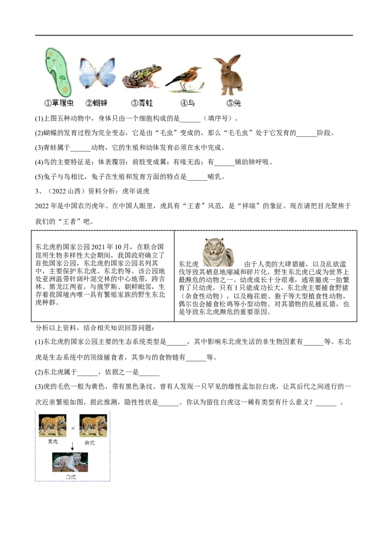 专题15动物的主要类群（原卷版）_6生物中考复习_2023年中考复习资料_一轮复习_2023年中考生物一轮复习讲练测_专题15动物的主要类群（专题精练）-2023年中考生物一轮复习讲练测