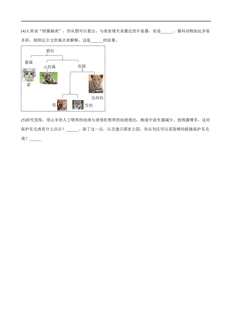 专题15动物的主要类群（原卷版）_6生物中考复习_2023年中考复习资料_一轮复习_2023年中考生物一轮复习讲练测_专题15动物的主要类群（专题精练）-2023年中考生物一轮复习讲练测