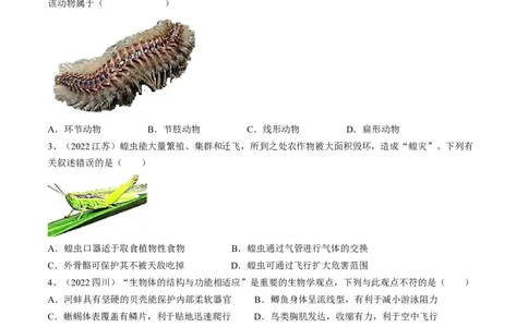 专题15动物的主要类群（原卷版）_6生物中考复习_2023年中考复习资料_一轮复习_2023年中考生物一轮复习讲练测_专题15动物的主要类群（专题精练）-2023年中考生物一轮复习讲练测