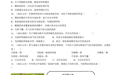 专题15动物的主要类群（原卷版）_6生物中考复习_2023年中考复习资料_一轮复习_2023年中考生物一轮复习讲练测_专题15动物的主要类群（专题精练）-2023年中考生物一轮复习讲练测