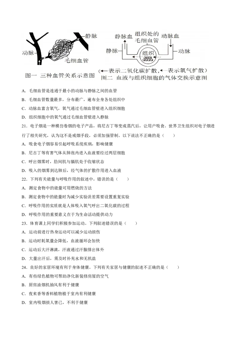 专题11人体的呼吸（习题精练）（全国通用）（原卷版）_6生物中考复习_2024年中考复习资料_一轮复习资料_省心备考2024年中考生物一轮复习精讲精练（全国通用）