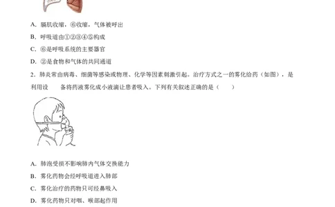 专题11人体的呼吸（习题精练）（全国通用）（原卷版）_6生物中考复习_2024年中考复习资料_一轮复习资料_省心备考2024年中考生物一轮复习精讲精练（全国通用）