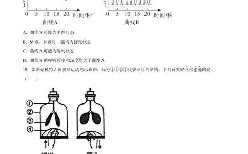 专题11人体的呼吸（习题精练）（全国通用）（原卷版）_6生物中考复习_2024年中考复习资料_一轮复习资料_省心备考2024年中考生物一轮复习精讲精练（全国通用）
