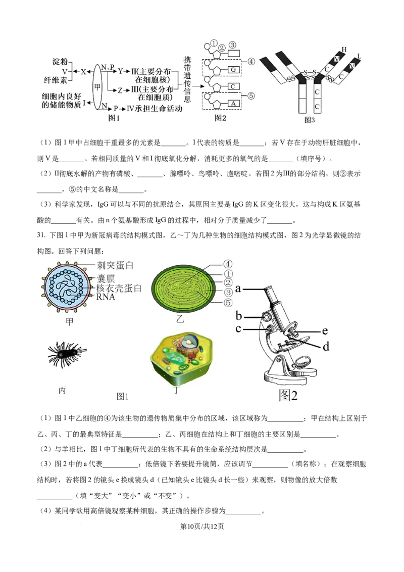精品解析：江苏省连云港市赣榆区新海高级中学2025-2026学年高一上学期10月月考生物试题（原卷版）_2025年10月高一试卷
