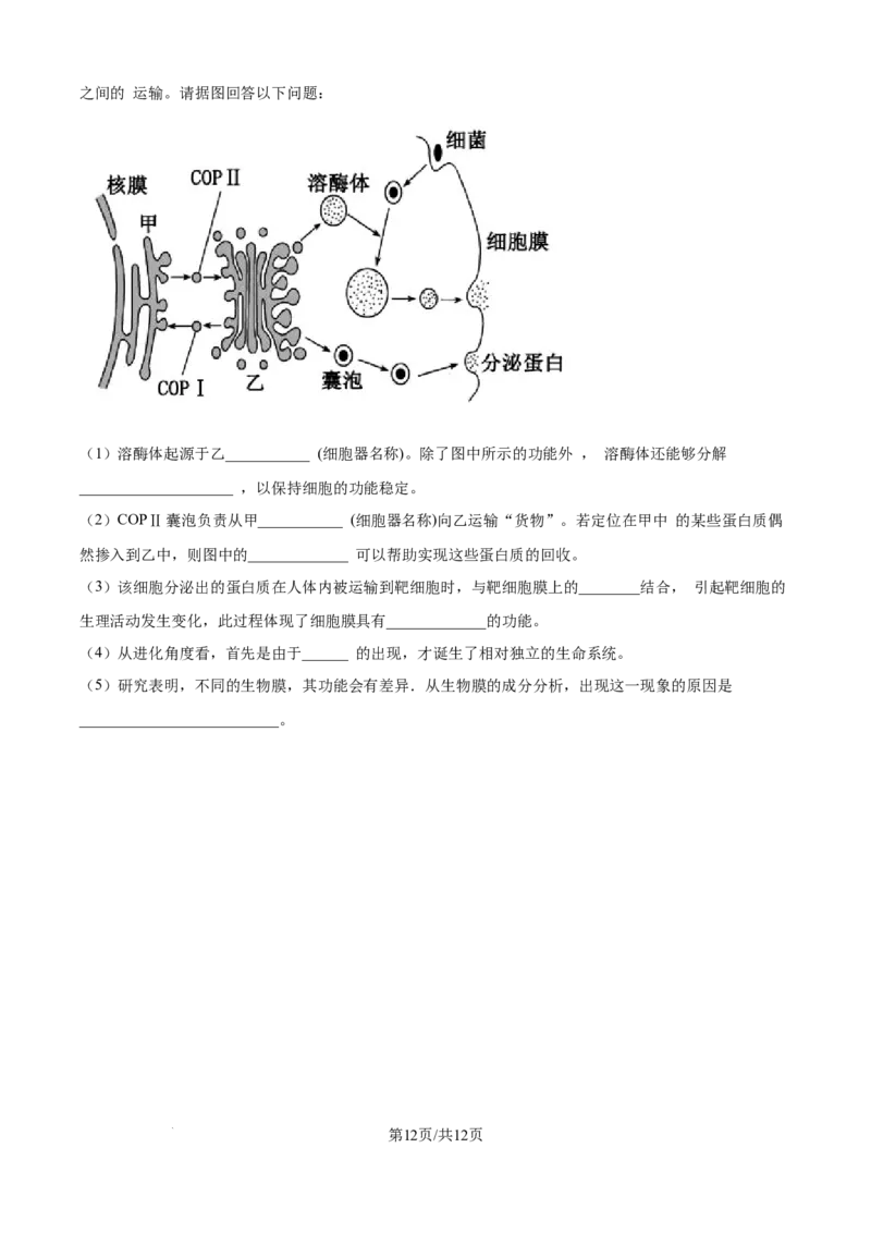 精品解析：江苏省连云港市赣榆区新海高级中学2025-2026学年高一上学期10月月考生物试题（原卷版）_2025年10月高一试卷