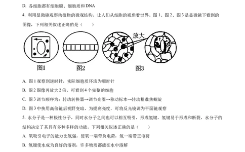精品解析：江苏省连云港市赣榆区新海高级中学2025-2026学年高一上学期10月月考生物试题（原卷版）_2025年10月高一试卷