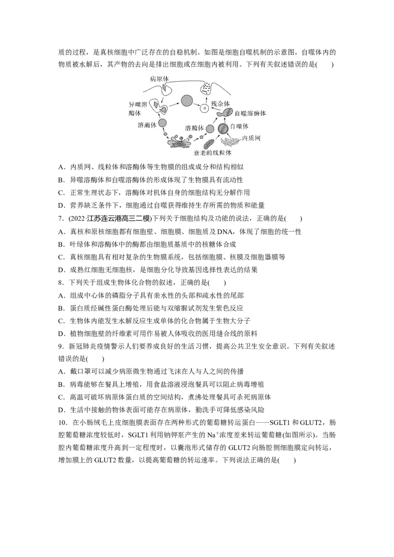 考前特训　专项二(一)细胞的分子组成与基本结构_通用版（老高考）复习资料_2023年复习资料_二轮复习_2023年高考生物二轮复习讲义+课件（全国版）_2023年高考生物二轮复习讲义（全国版）