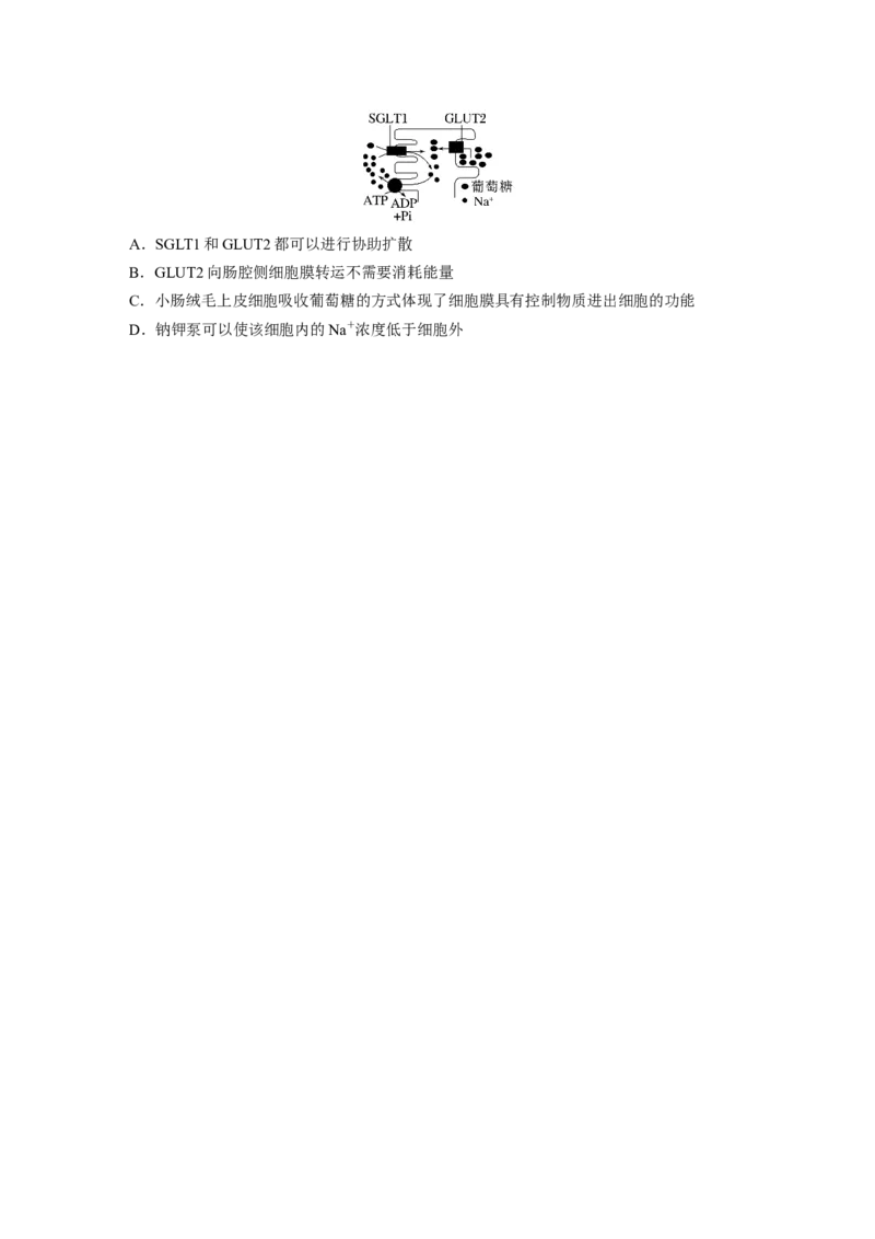 考前特训　专项二(一)细胞的分子组成与基本结构_通用版（老高考）复习资料_2023年复习资料_二轮复习_2023年高考生物二轮复习讲义+课件（全国版）_2023年高考生物二轮复习讲义（全国版）