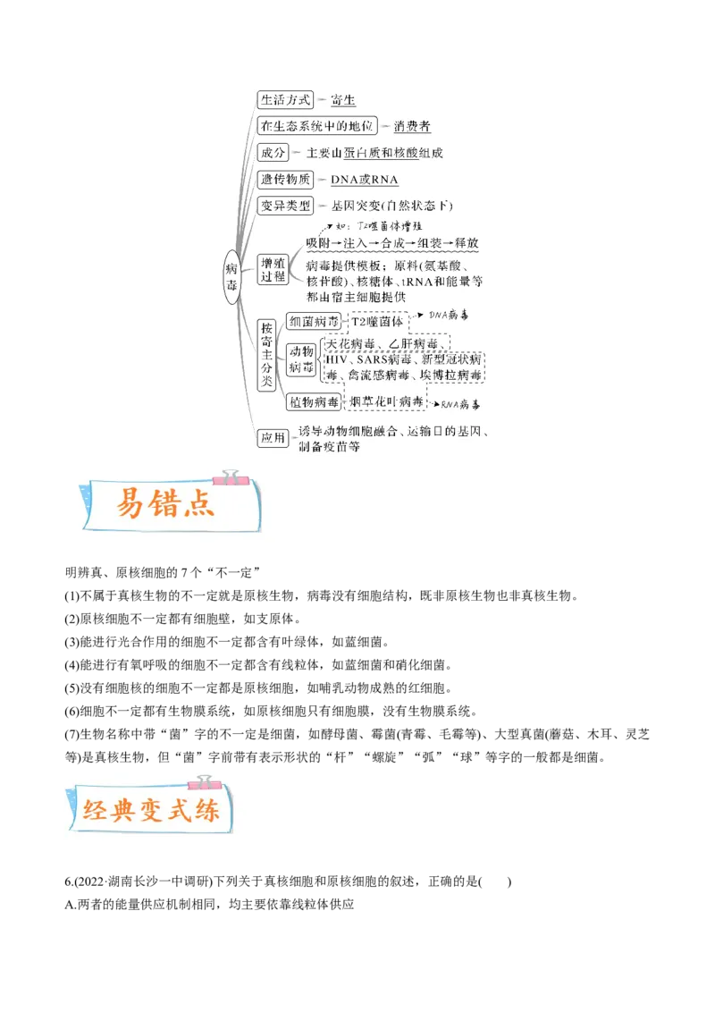 考向02细胞的基本结构-备战2023年高考生物一轮复习考点微专题（全国通用）（原卷版）(1)_通用版（老高考）复习资料_2023年复习资料_一轮复习