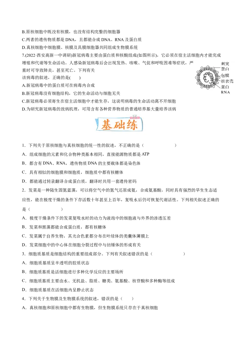 考向02细胞的基本结构-备战2023年高考生物一轮复习考点微专题（全国通用）（原卷版）(1)_通用版（老高考）复习资料_2023年复习资料_一轮复习