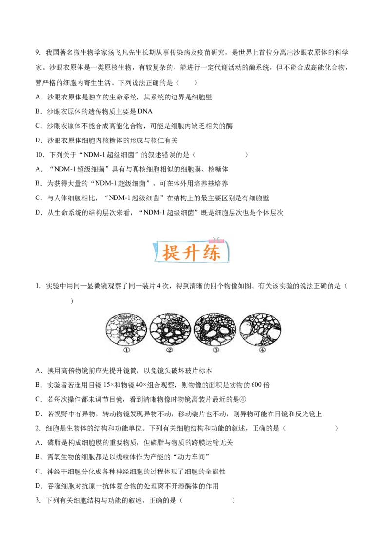 考向02细胞的基本结构-备战2023年高考生物一轮复习考点微专题（全国通用）（原卷版）(1)_通用版（老高考）复习资料_2023年复习资料_一轮复习