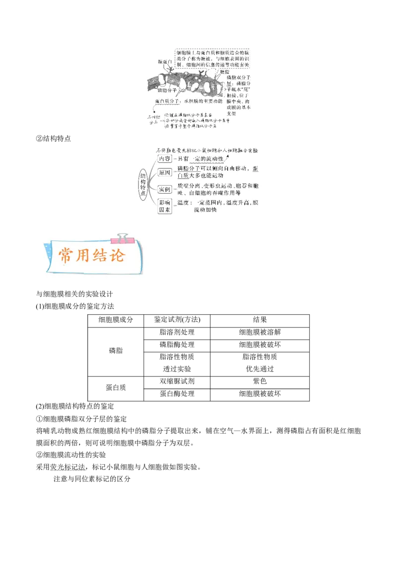 考向02细胞的基本结构-备战2023年高考生物一轮复习考点微专题（全国通用）（原卷版）(1)_通用版（老高考）复习资料_2023年复习资料_一轮复习